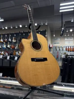 L'arrivee - LV-05E Acoustic/Electric - Lefty 2004