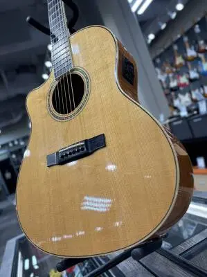 L'arrivee - LV-05E Acoustic/Electric - Lefty 2004 2