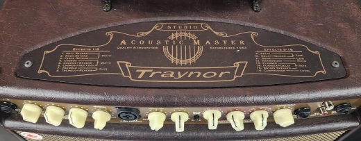 Traynor - 2-Channel Compact Stereo Acoustic Guitar Amp - 65 Watts 4