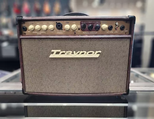 Traynor - 2-Channel Compact Stereo Acoustic Guitar Amp - 65 Watts