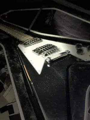 Kirk Hammett 1979 Flying V - Ebony 2