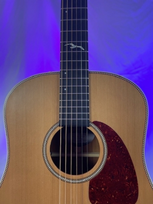 Seagull Guitars - S41541 2