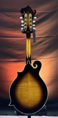 Gold Tone - GM-70+ Solid Wood F-Style Mandolin 2