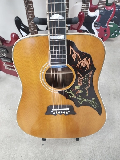 Epiphone - EMEXNAGH 2