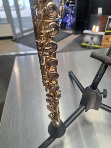 Selmer - SFL301 2
