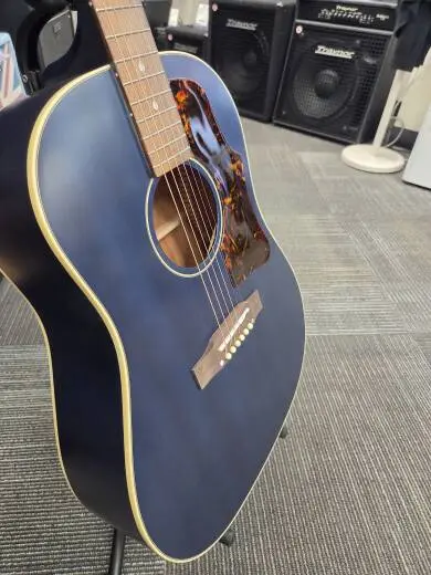 Epiphone - IGMTJ455VBNH 2