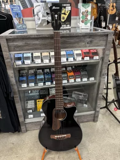 Ibanez - AEGB24EBKH