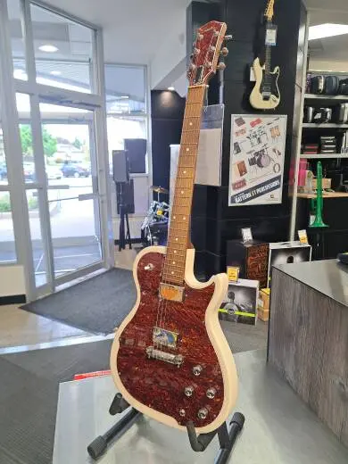 Godin Guitars - G48458