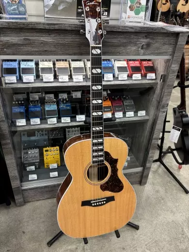 Godin Guitars - G51618