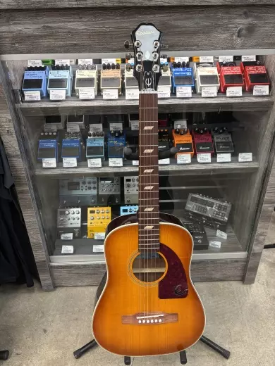 Epiphone - EELTFCNH