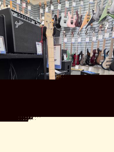 Seagull Guitars - S39098