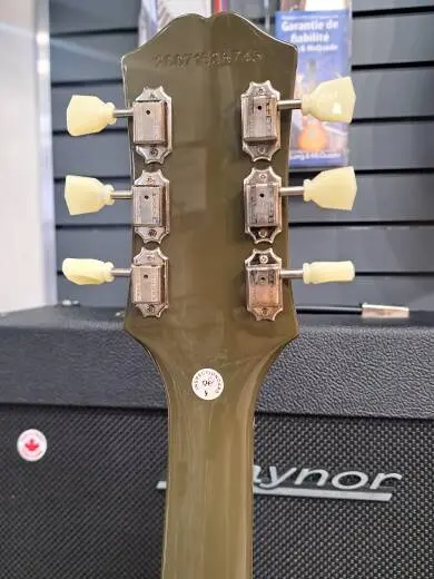 Store Special Product - Epiphone - EISS61MODNH