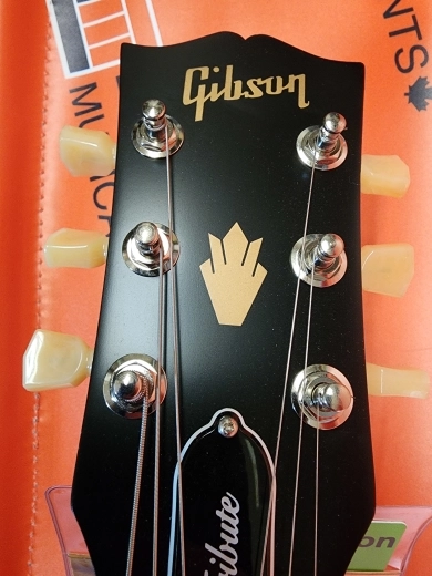 Store Special Product - Gibson - SGTR00VCNH
