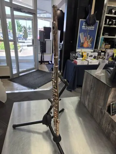 Selmer - SFL301