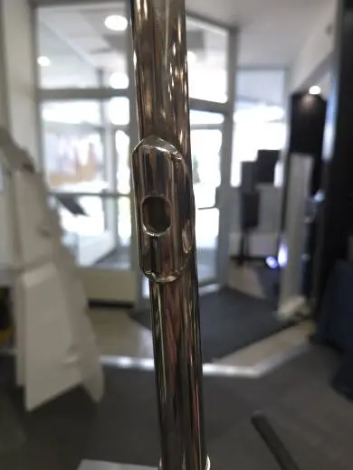 Selmer - SFL301 2
