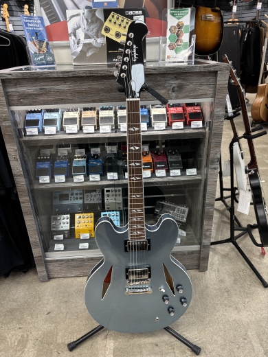 Store Special Product - Epiphone - EIGCDG335PENH