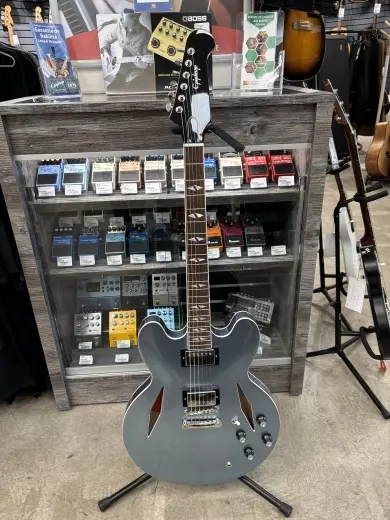 Store Special Product - Epiphone - EIGCDG335PENH