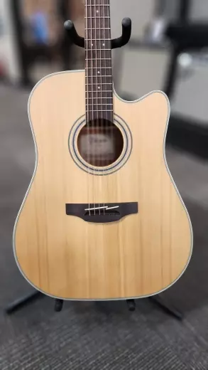 Takamine - GD20CE-NS