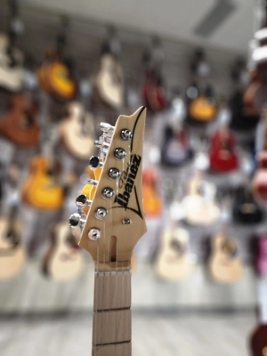 Ibanez - AT10PSB 4