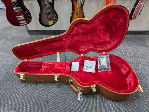 Gibson - ACO20VSGH 2
