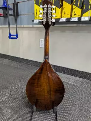 Eastman Guitars - MD505 2