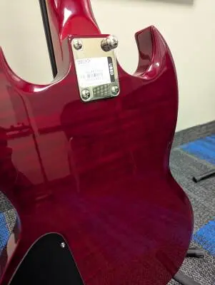 Epiphone - EBB0CHCH 2