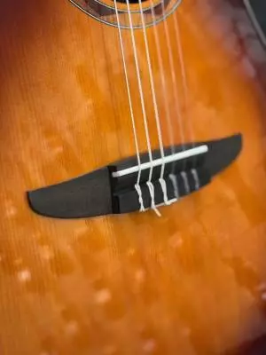 YAMAHA NTX3 BS 2