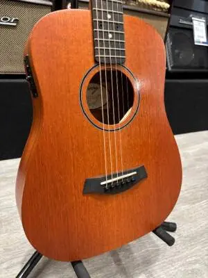 TAYLOR BT2E