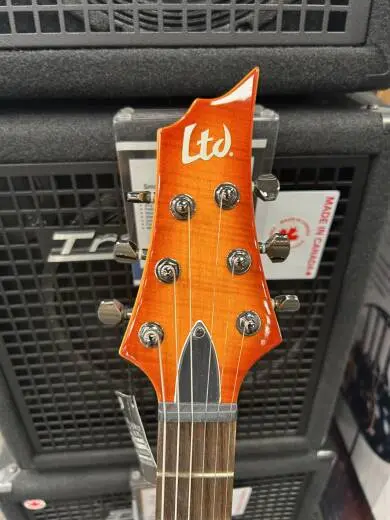 ESP Guitars - LH101FMDBSB 2