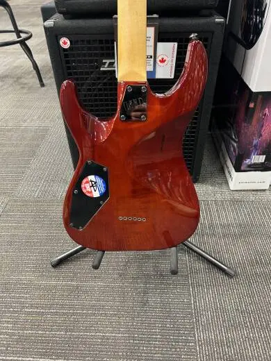 ESP Guitars - LH101FMDBSB 2