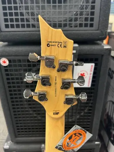 ESP Guitars - LH101FMDBSB 2
