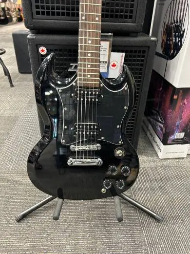 Epiphone - EGGSEBCH 2