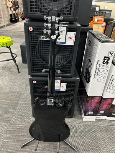 Epiphone - EGGSEBCH 2
