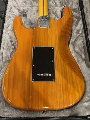 Fender - 011-3900-763 2