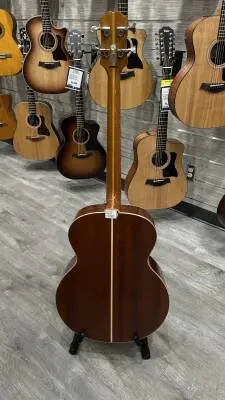 Epiphone - EIABSJANANH 2