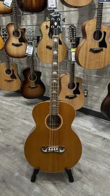 Epiphone - EIABSJANANH