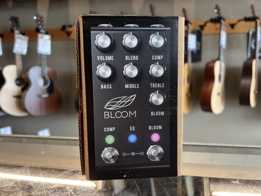 Jackson Audio Bloom