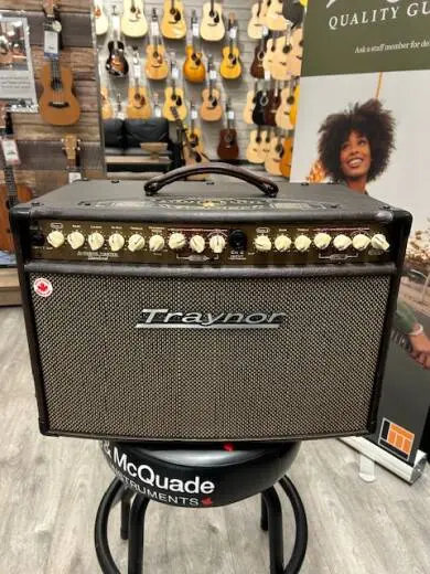 Traynor - AMSTANDARD