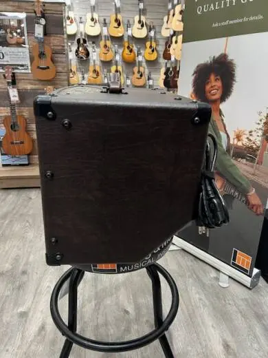 Traynor - AMSTANDARD 2