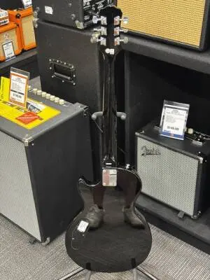 Epiphone - ELPVVSCH 2