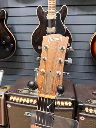 Gibson - ACG00ANNH 2