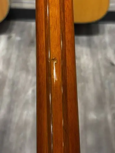 Epiphone - EBTVTSNH 2
