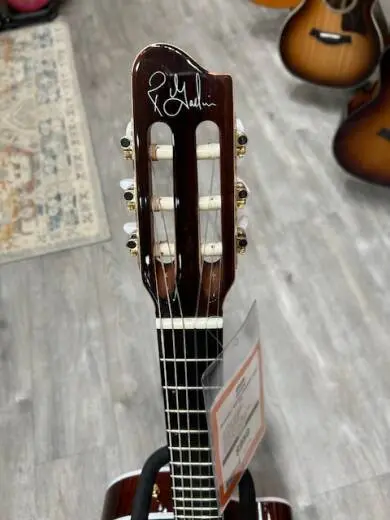 Godin Guitars - G51229 2