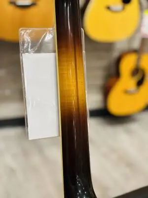Gibson - ACO20VSGH 2