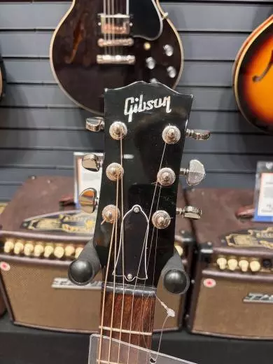 Gibson - AC4519VSNH 2