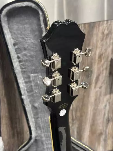 Epiphone - ETCAVSCH 2