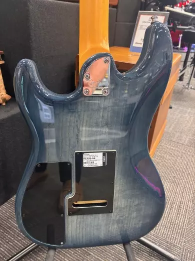 GODIN RG-3 INDIGO BST RN W/GB 2