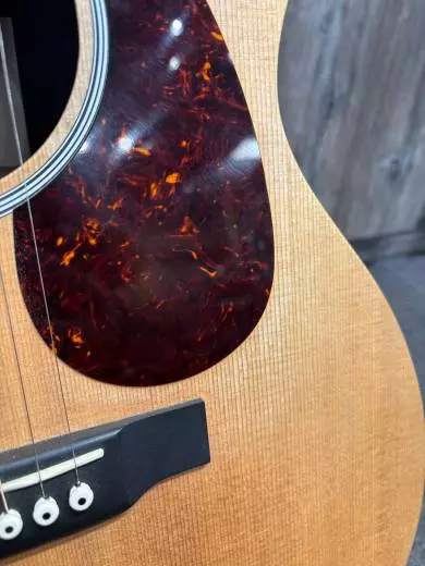 Store Special Product - Martin Guitars - GPCX1RAE