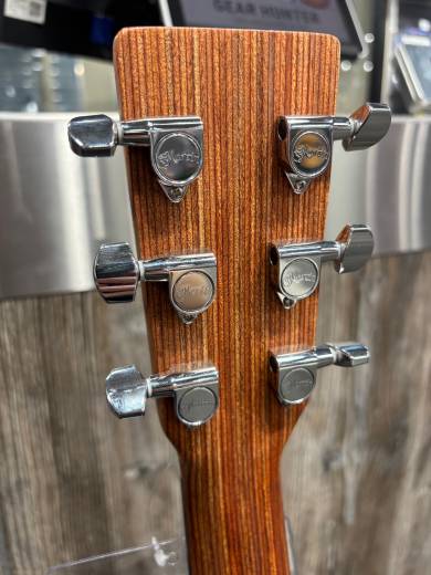 Gear Hunter | Martin Guitars - GPCX1RAE