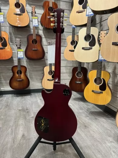 Epiphone - ECLPS59ITVNH 4